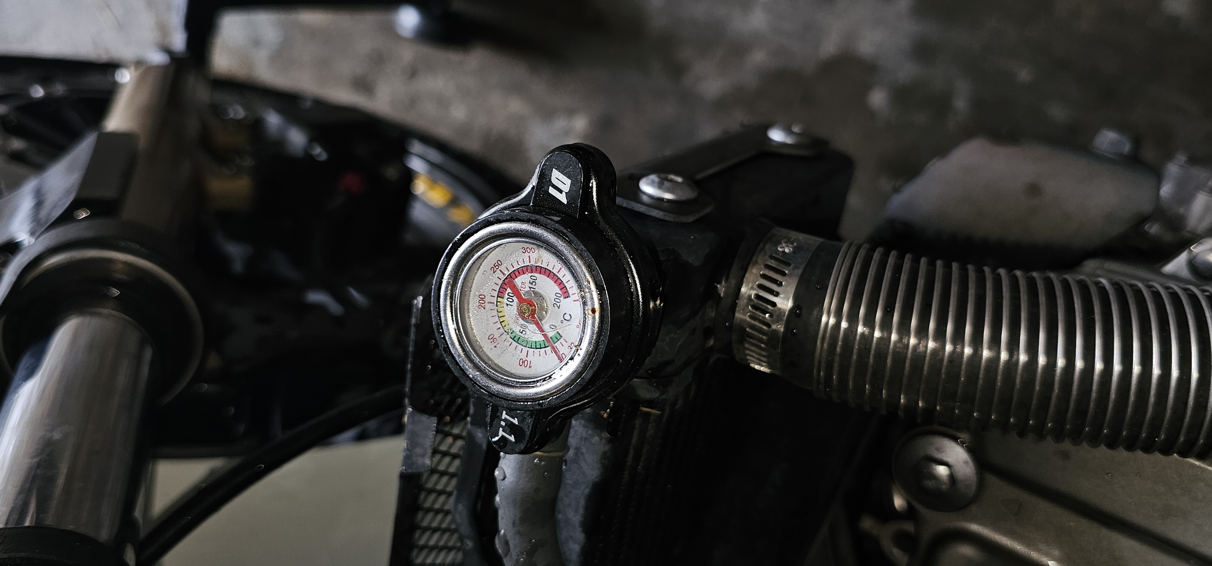 moto